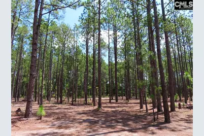 3915 Old Georgetown Road W, Westville, SC 29067 - Photo 24