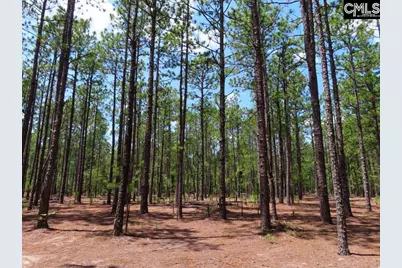 3915 Old Georgetown Road W, Westville, SC 29067 - Photo 40
