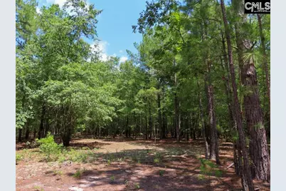 3915 Old Georgetown Road W, Westville, SC 29067 - Photo 52