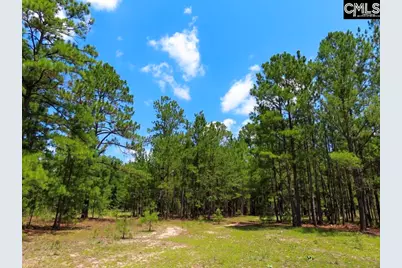3915 Old Georgetown Road W, Westville, SC 29067 - Photo 42