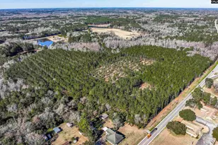 Lot #5 Fairview Road 008200-07-010, Batesburg, SC 29006 - Photo 14