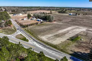 Lot #5 Fairview Road 008200-07-010, Batesburg, SC 29006 - Photo 12