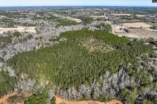 Lot #5 Fairview Road 008200-07-010, Batesburg, SC 29006 - Photo 20