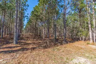 Lot #5 Fairview Road 008200-07-010, Batesburg, SC 29006 - Photo 4