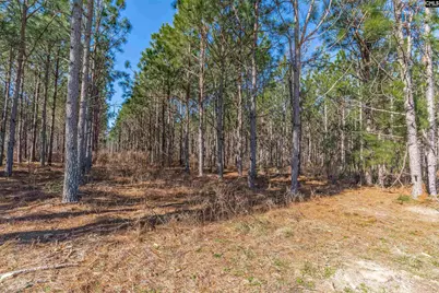 Lot #7 Fairview Road 008200-07-010, Batesburg, SC 29006 - Photo 4
