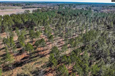 Lot #7 Fairview Road 008200-07-010, Batesburg, SC 29006 - Photo 28