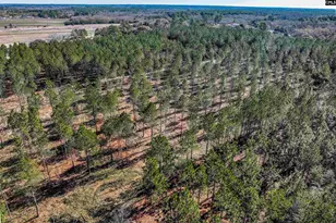 Lot #7 Fairview Road 008200-07-010, Batesburg, SC 29006 - Photo 28