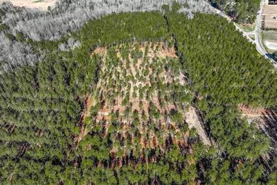 Lot #7 Fairview Road 008200-07-010, Batesburg, SC 29006 - Photo 8