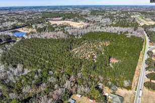 Lot #7 Fairview Road 008200-07-010, Batesburg, SC 29006 - Photo 22