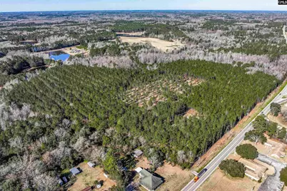 Lot #7 Fairview Road 008200-07-010, Batesburg, SC 29006 - Photo 20