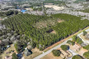 Lot #7 Fairview Road 008200-07-010, Batesburg, SC 29006 - Photo 32
