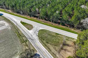 Lot #6 Fairview Road 008200-07-010, Batesburg, SC 29006 - Photo 30