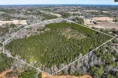 Lot #6 Fairview Road 008200-07-010, Batesburg, SC 29006 - Photo 24