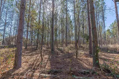 Lot #6 Fairview Road 008200-07-010, Batesburg, SC 29006 - Photo 2