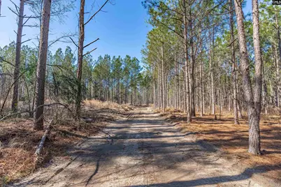 Lot #6 Fairview Road 008200-07-010, Batesburg, SC 29006 - Photo 1
