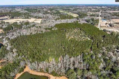Lot #6 Fairview Road 008200-07-010, Batesburg, SC 29006 - Photo 22