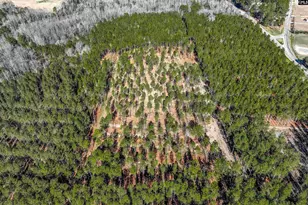Lot #6 Fairview Road 008200-07-010, Batesburg, SC 29006 - Photo 8
