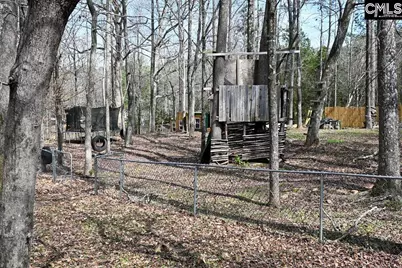 88 Running Deer Road, Blythewood, SC 29016 - Photo 30