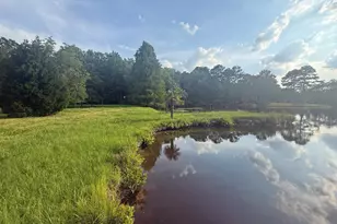 623 Jacobs Millpond Rd, Elgin, SC 29045 - Photo 42