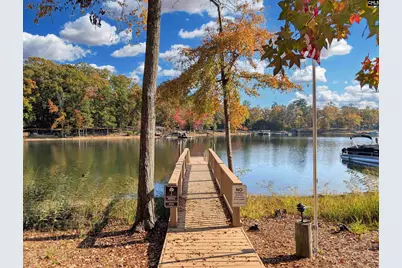 1241 Danvers Lane, Chapin, SC 29036 - Photo 6