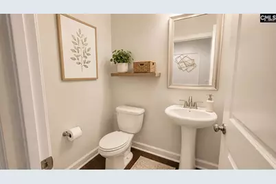 1241 Danvers Lane, Chapin, SC 29036 - Photo 16