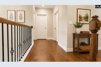 1241 Danvers Lane, Chapin, SC 29036 - Photo 30