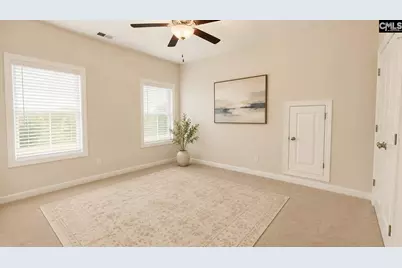 1241 Danvers Lane, Chapin, SC 29036 - Photo 38