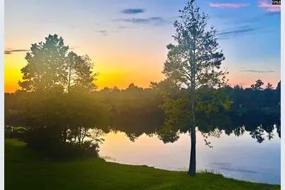 1 Lower Glen Court, Blythewood, SC 29016 - Photo 46