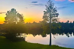 1 Lower Glen Ct, Blythewood, SC 29016 - Photo 46