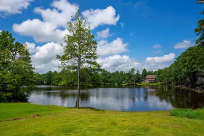 1 Lower Glen Court, Blythewood, SC 29016 - Photo 42