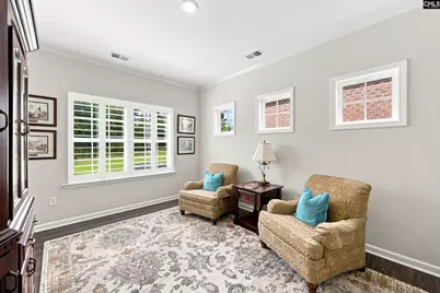 242 Backspin Drive, Elgin, SC 29045 - Photo 10