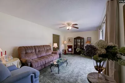 1126 Mathis Court, Camden, SC 29020 - Photo 8