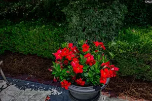 120 Pilgrim Point Dr, Lexington, SC 29072 - Photo 58