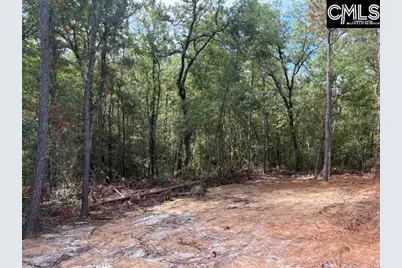 991 Ben Franklin Road, Gilbert, SC 29054 - Photo 18