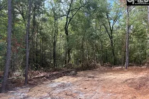 991 Ben Franklin Rd, Gilbert, SC 29054 - Photo 18