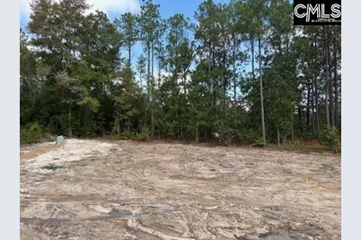 991 Ben Franklin Road, Gilbert, SC 29054 - Photo 20