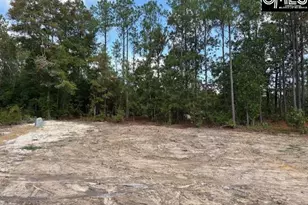 991 Ben Franklin Rd, Gilbert, SC 29054 - Photo 20