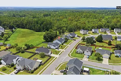 245 Arthurdale Drive, West Columbia, SC 29170 - Photo 28