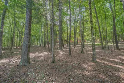 217 Ashley Oaks Drive, Blythewood, SC 29016 - Photo 38