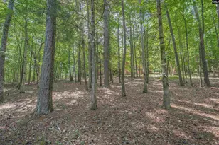 217 Ashley Oaks Dr, Blythewood, SC 29016 - Photo 38