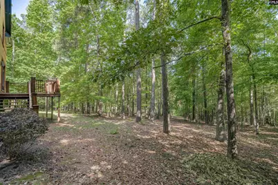 217 Ashley Oaks Drive, Blythewood, SC 29016 - Photo 34