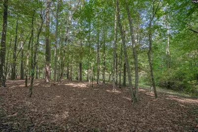 217 Ashley Oaks Drive, Blythewood, SC 29016 - Photo 36