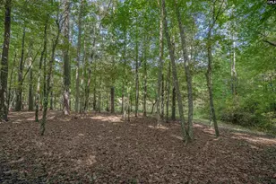 217 Ashley Oaks Dr, Blythewood, SC 29016 - Photo 36