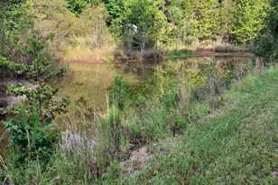 1020 Pine Bark Rd, Camden, SC 29020 - Photo 20