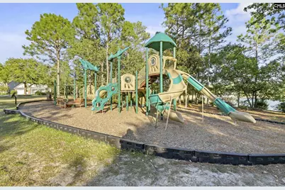 345 Drooping Leaf Road, Lexington, SC 29072 - Photo 26