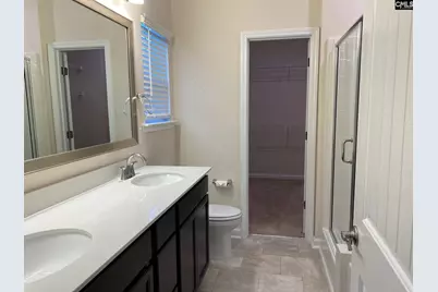 945 Bergenfield Lane, Chapin, SC 29036 - Photo 10