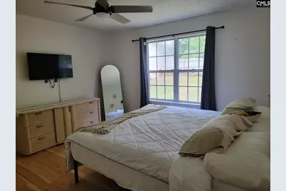 156 Firebridge Drive, Chapin, SC 29036 - Photo 12