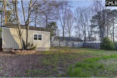 156 Firebridge Drive, Chapin, SC 29036 - Photo 20
