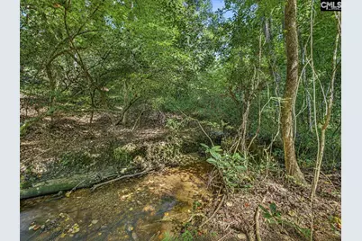 550 Old Shoals Road, Monetta, SC 29129 - Photo 40