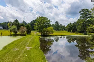 1358 Yarborough Rd, Saluda, SC 29138 - Photo 6
